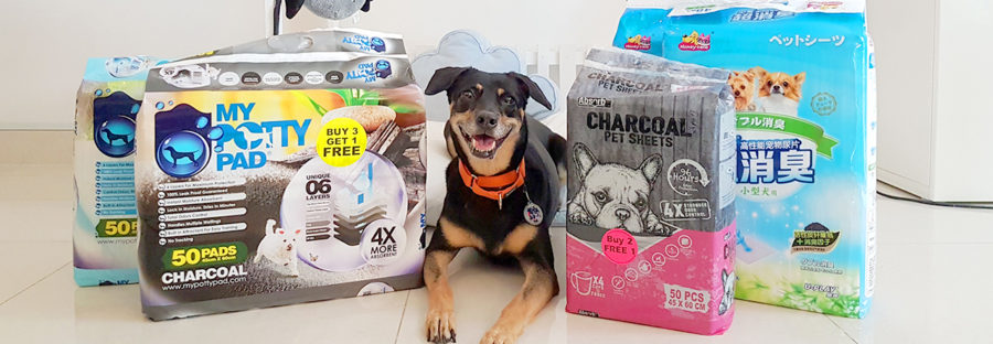 Dog Potty Time Let S Review 5 Pee Pad Brands We Live In A Flat