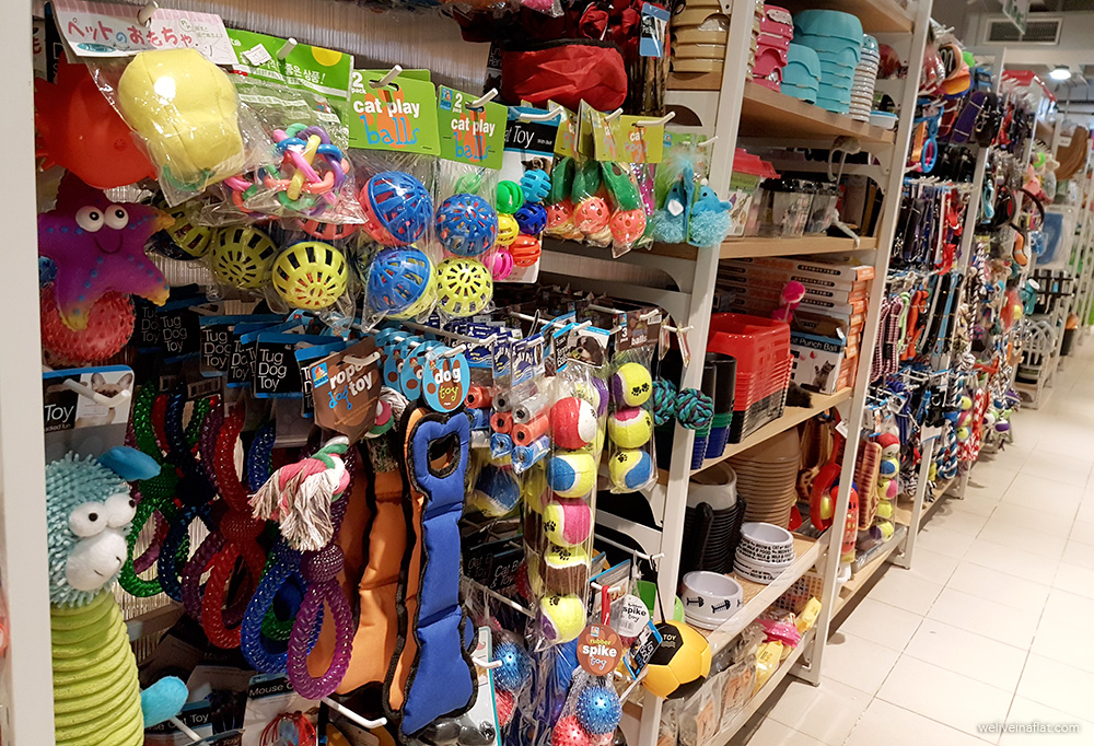 dog toy shop