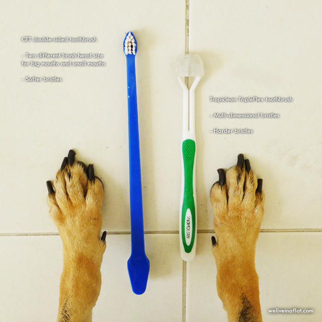 double sided dog toothbrush