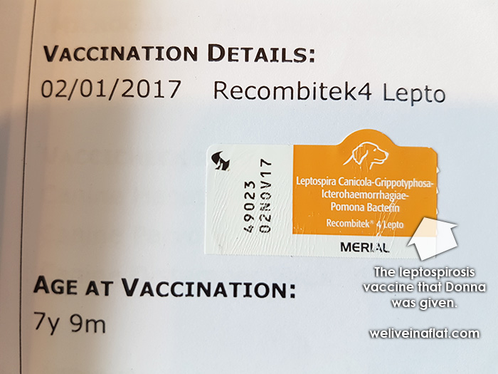 lepto 4 way vaccine