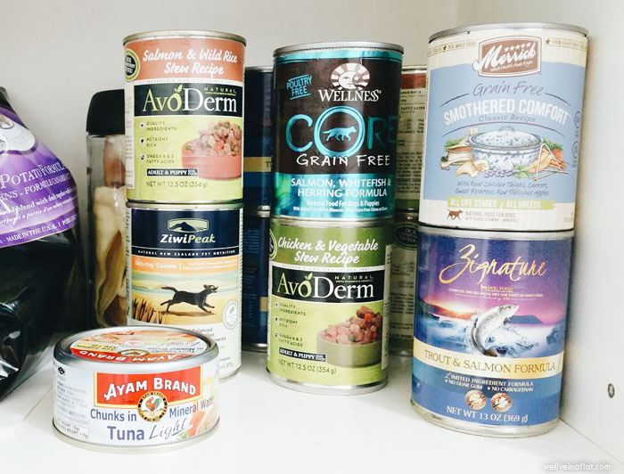 small cans of dog food