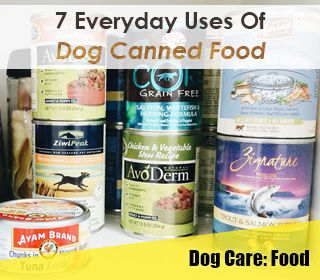 can you put dog food in tin cans