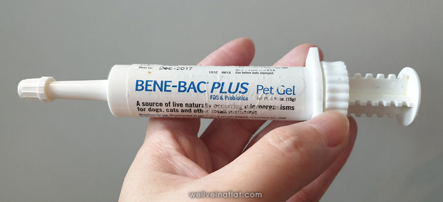 bene-bac-plus-probiotic-pet-gel - We live in a flat