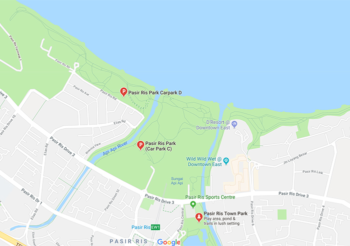 Pasir Ris Park - Exploring Dog-friendly Singapore Parks - We live in a flat